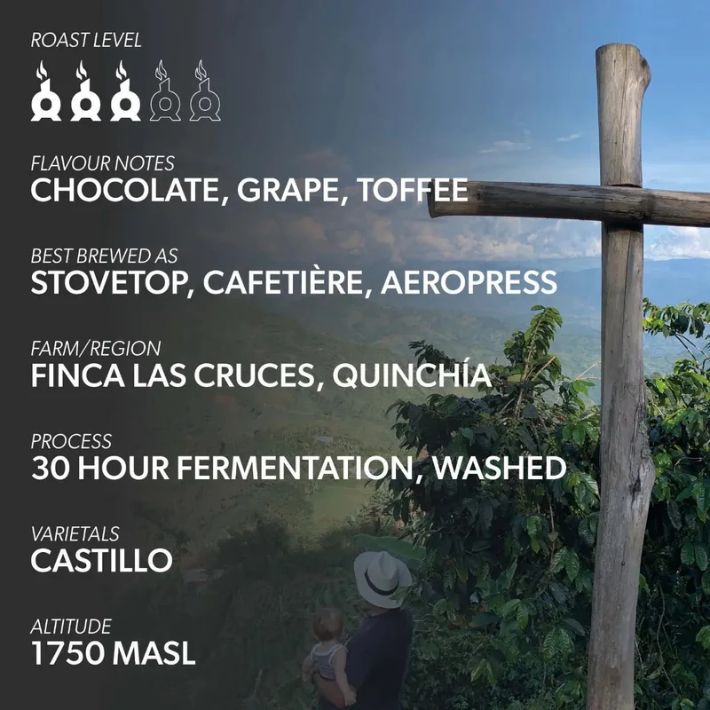 Chimney Fire Colombia Coffee Beans - Chocolate, Grape, Toffee