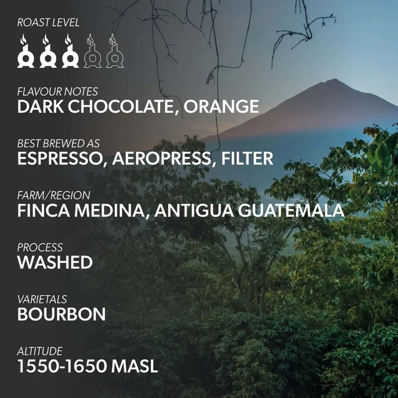 Chimney Fire Guatemala Coffee Beans - Dark Chocolate, Orange, Smooth