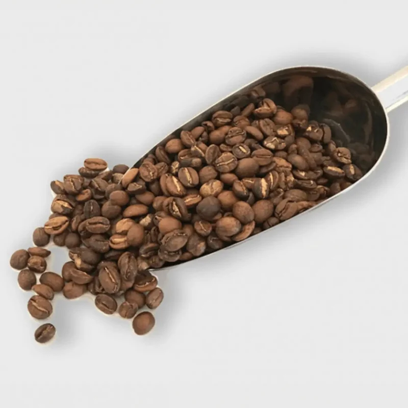 Rex Royal S500 Bean to Cup Coffee Machine + 10 Litre Milk Fridge, Installation and Service Package