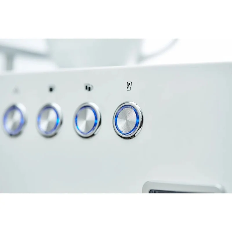 Bellezza Bellona Espresso Machine | Dual Boiler