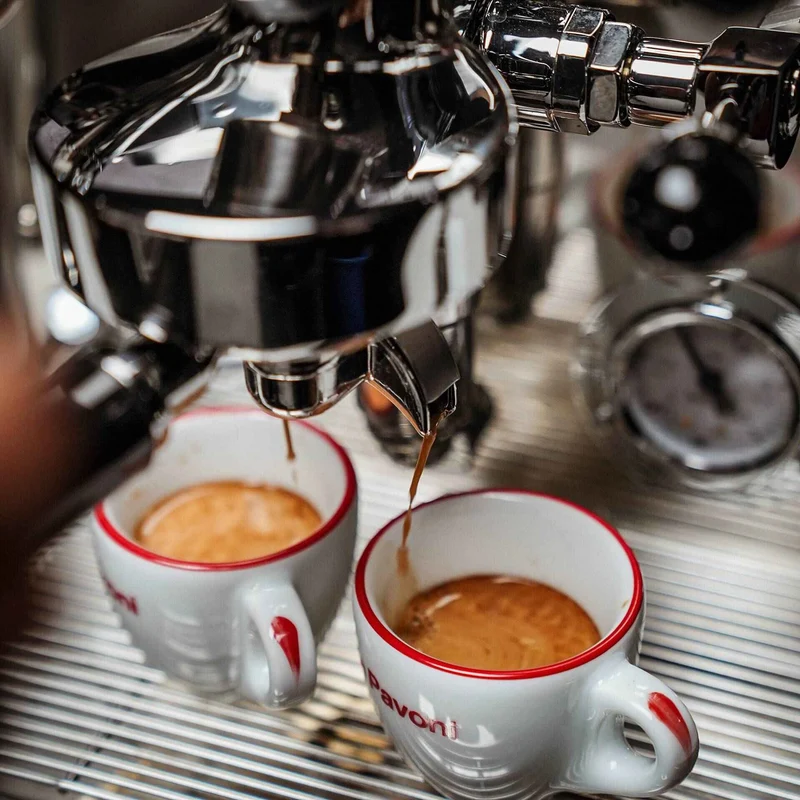 La Pavoni Botticelli Speciality PID Espresso Coffee Machine - Dual Boiler