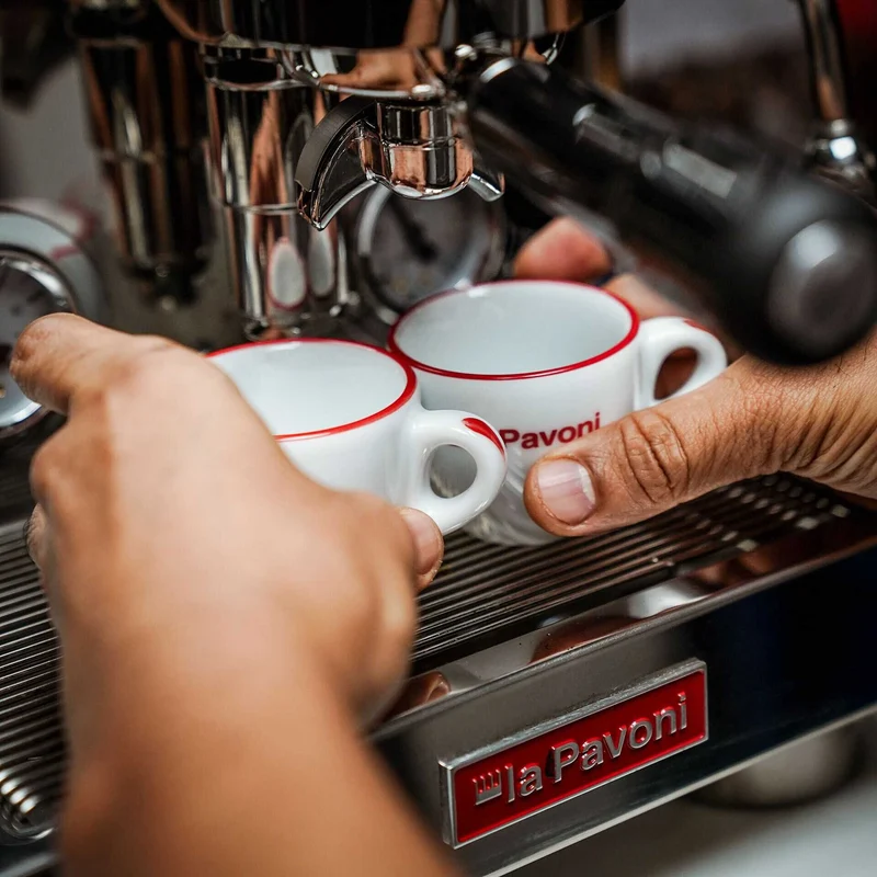 La Pavoni Botticelli Speciality PID Espresso Coffee Machine - Dual Boiler
