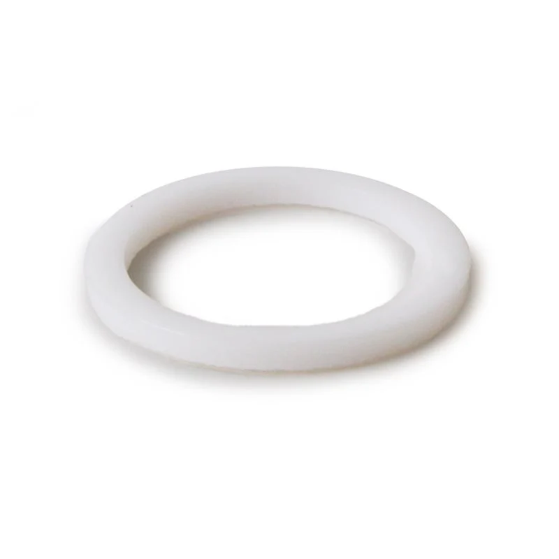 Rancilio - Teflon Gasket